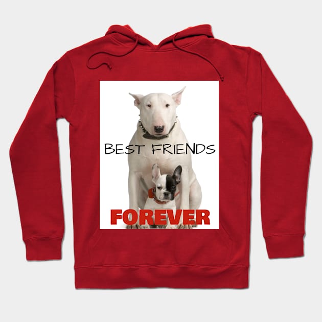 Best Friends FOREVER Hoodie by Jerry De Luca